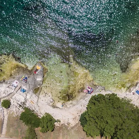 Nice In With Kitchen